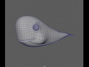 whale 3D Model