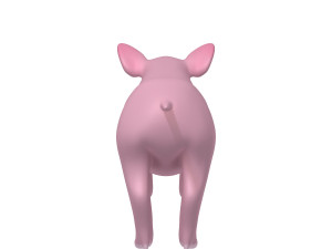 pig 3D मॉडल