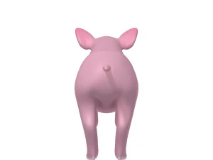 pig 3D Model