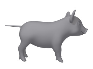 pig 3D मॉडल