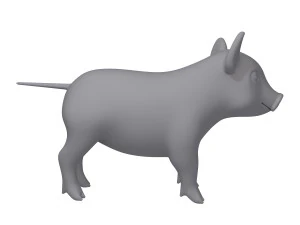 pig 3D Model