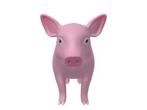 pig 3D Model