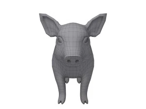 pig 3D Model