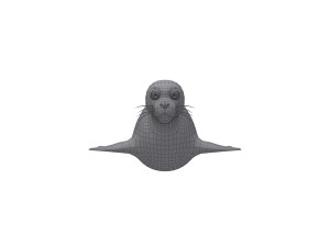 seal 3D Model