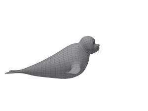 seal 3D Model