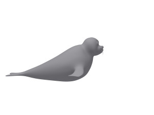 seal 3D Model