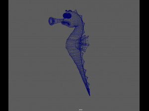 seahorse 3D Модель