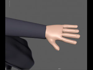 magician 3D Model
