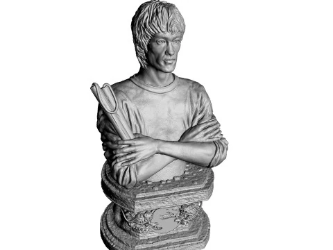 Busto di Bruce Lee per la stampa 3D STL Modello di stampa 3D