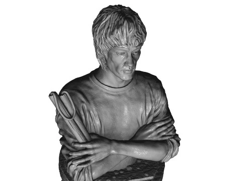 Bruce Lee Bust for 3D printing STL 3D Print Model