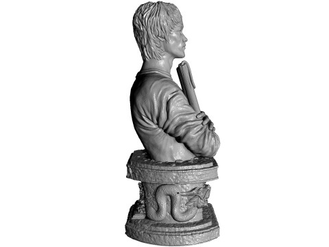 Bruce Lee Bust for 3D printing STL 3D Print Model