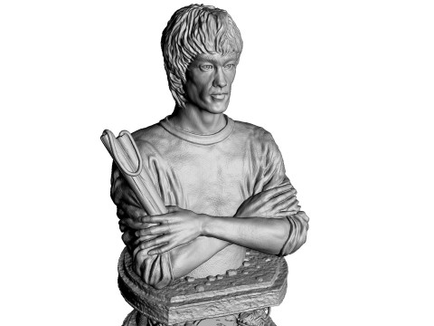 Bruce Lee Bust for 3D printing STL 3D Print Model