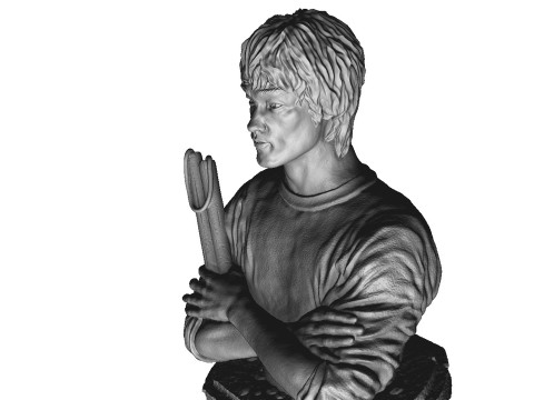 Bruce Lee Bust for 3D printing STL 3D Print Model