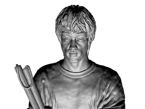 Bruce Lee Bust for 3D printing STL 3D Print Model