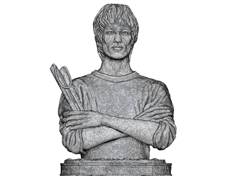 Bruce Lee Bust for 3D printing STL 3D Print Model