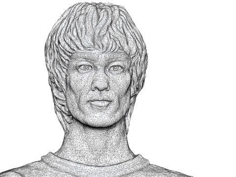 Bruce Lee Bust for 3D printing STL 3D Print Model