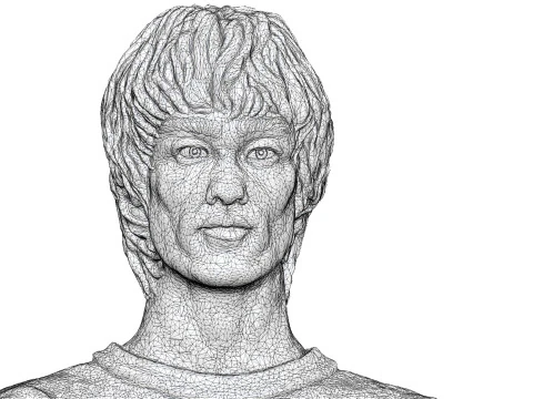 Bruce Lee Bust for 3D printing STL 3D Print Model