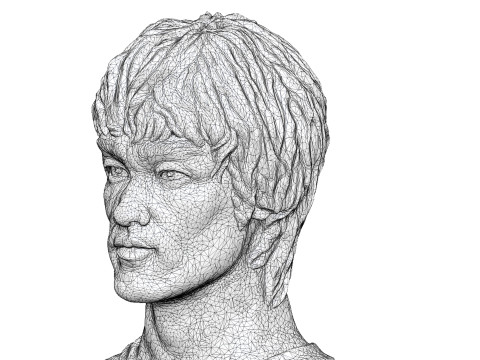 Bruce Lee Bust for 3D printing STL 3D Print Model