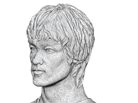 Bruce Lee Bust for 3D printing STL 3D Print Model