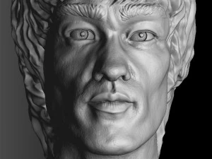 Bruce Lee Bust for 3D printing STL 3D Print Model