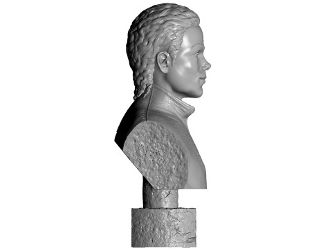 Michael Jackson Bust for 3D printing STL 3D Baskı Modeli