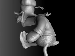 Donald angry 3D Model