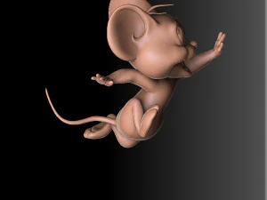 Tom and Jerry 3d parintabe 3D Print Model