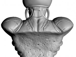 Guyver bust 3d printable 3Dプリントモデル