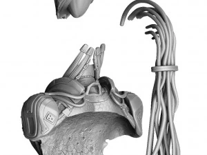 CYRAX MK11 PER BUSTO STAMPA 3D STL Modello 3D