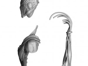 CYRAX MK11 PER BUSTO STAMPA 3D STL Modello 3D