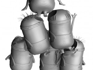 MINIONS FOR 3D PRINT STL ASSEMBLE AND SEPARATELY 3D Model