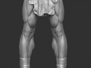 GORO 1995 ASSEMBLE FOR 3D PRINT 2 OPTIONS STL 3D Model