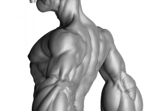 Popeye the Sailor FOR 3D PRINT STL 3D Model