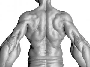 Popeye the Sailor FOR 3D PRINT STL 3D Model