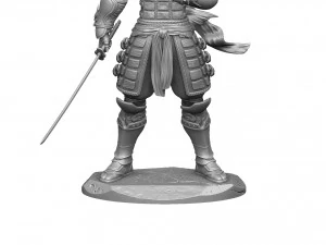 RYU HAYABUSA Ninja Gaiden con una spada 1 per la stampa 3D STL Modello 3D