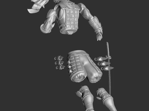 RYU HAYABUSA Ninja Gaiden con una spada 1 per la stampa 3D STL Modello 3D