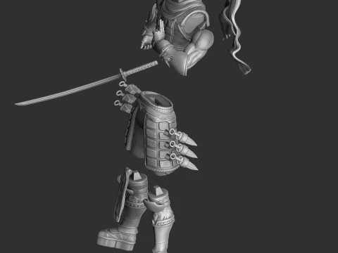 RYU HAYABUSA Ninja Gaiden con una spada 1 per la stampa 3D STL Modello 3D