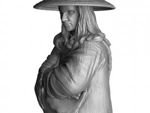 RAIDEN 1995 FOR 3D PRINT STL 3D Print Model