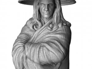 RAIDEN 1995 FOR 3D PRINT STL 3D Print Model