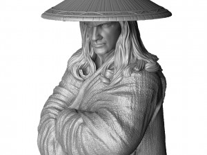 RAIDEN 1995 FOR 3D PRINT STL 3D Print Model