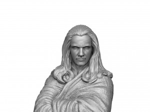 RAIDEN 1995 FOR 3D PRINT STL 3D Print Model