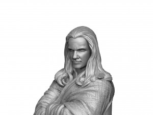 RAIDEN 1995 FOR 3D PRINT STL 3D Print Model