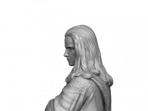 RAIDEN 1995 FOR 3D PRINT STL 3D Print Model