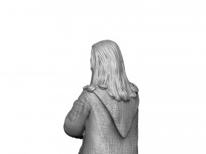 RAIDEN 1995 FOR 3D PRINT STL 3D Print Model