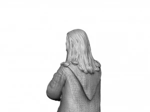 RAIDEN 1995 FOR 3D PRINT STL 3D Print Model
