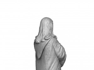 RAIDEN 1995 FOR 3D PRINT STL 3D Print Model