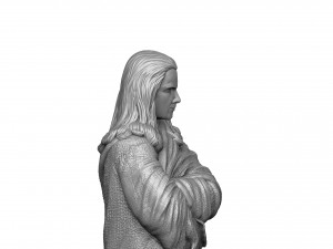 RAIDEN 1995 FOR 3D PRINT STL 3D Print Model