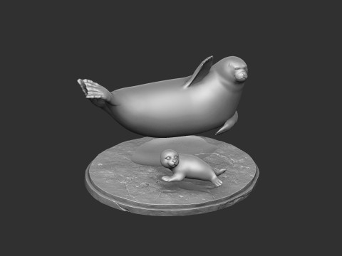 Larga - spotted seal for 3D printing Modelo de Impressão 3D
