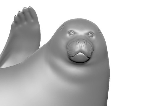 Larga - spotted seal for 3D printing Modelo de Impressão 3D