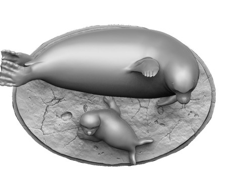 Larga - spotted seal for 3D printing Modelo de Impressão 3D